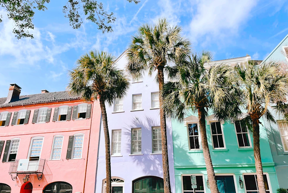 A pink, purple, and teal houses in a row with four tall palm trees with brown trunks and green leaves on the top while visiting Charleston, South Carolina.