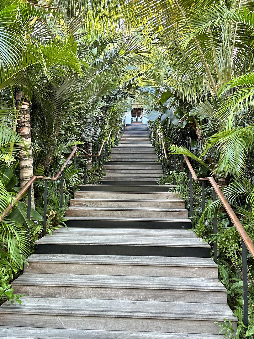 stair case to tropical beach