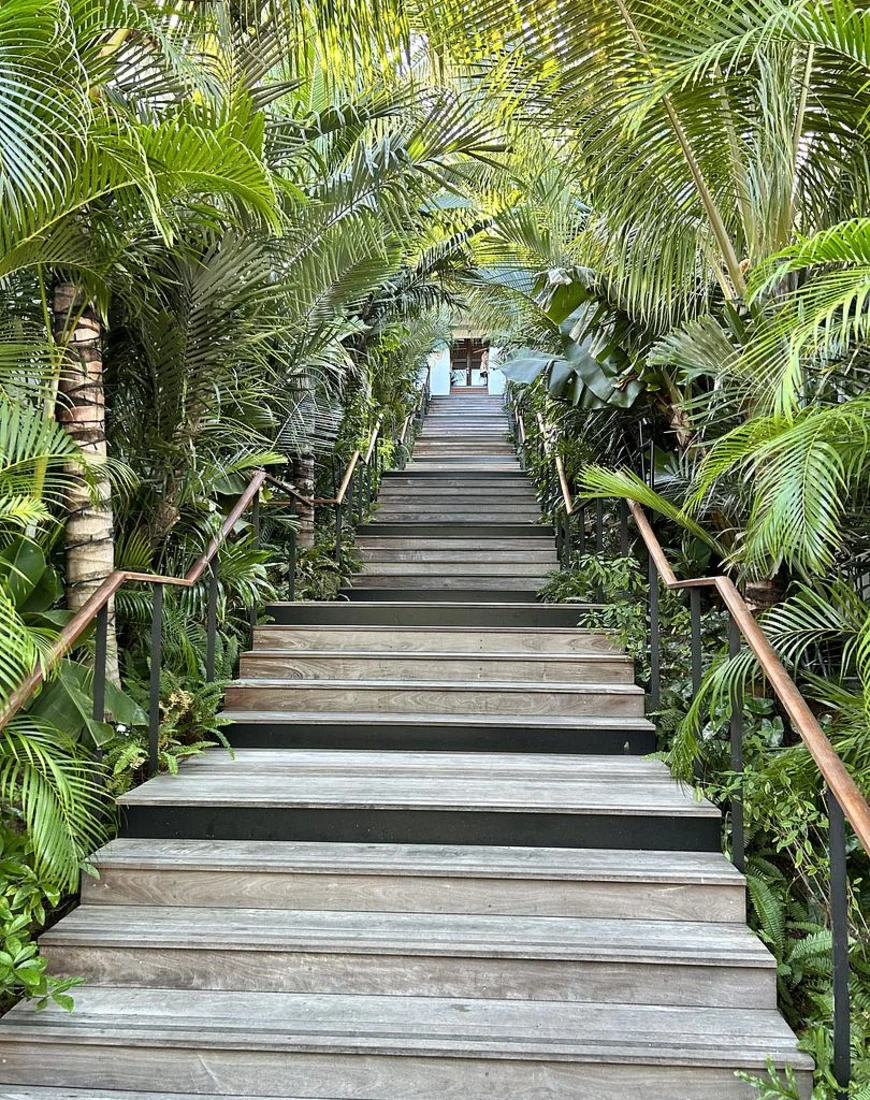 stair case to tropical beach
