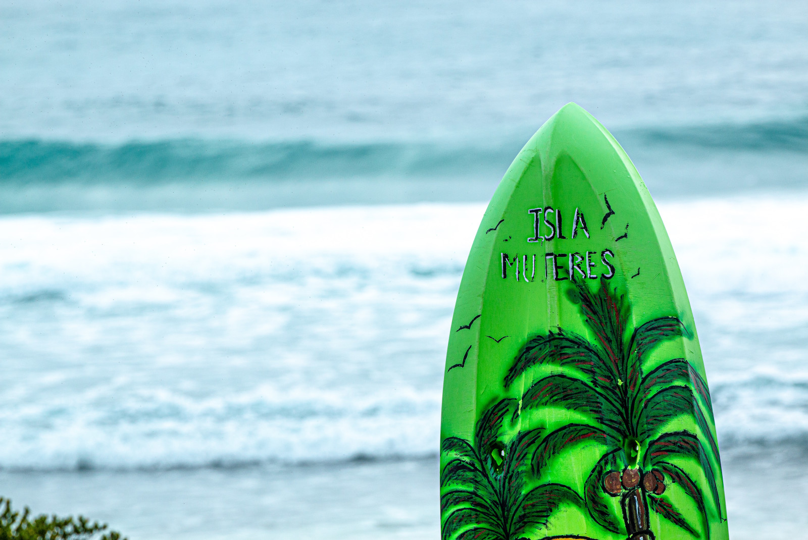 green surf board with ocean in the background