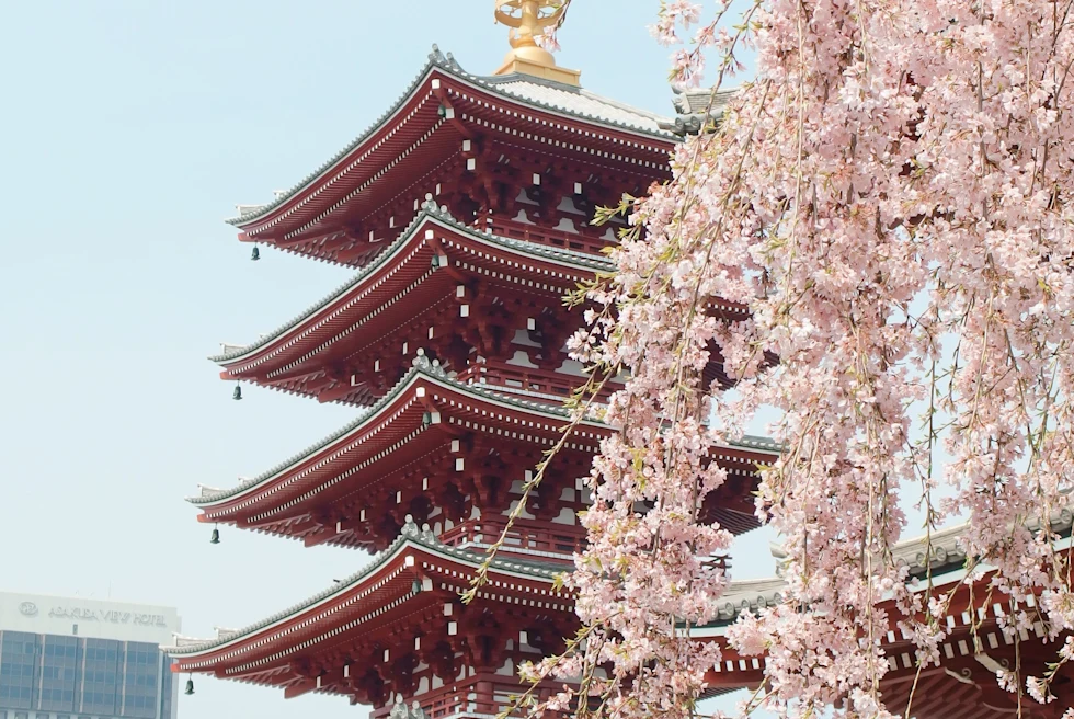 Flowers hanging along with a Japanese's high tower