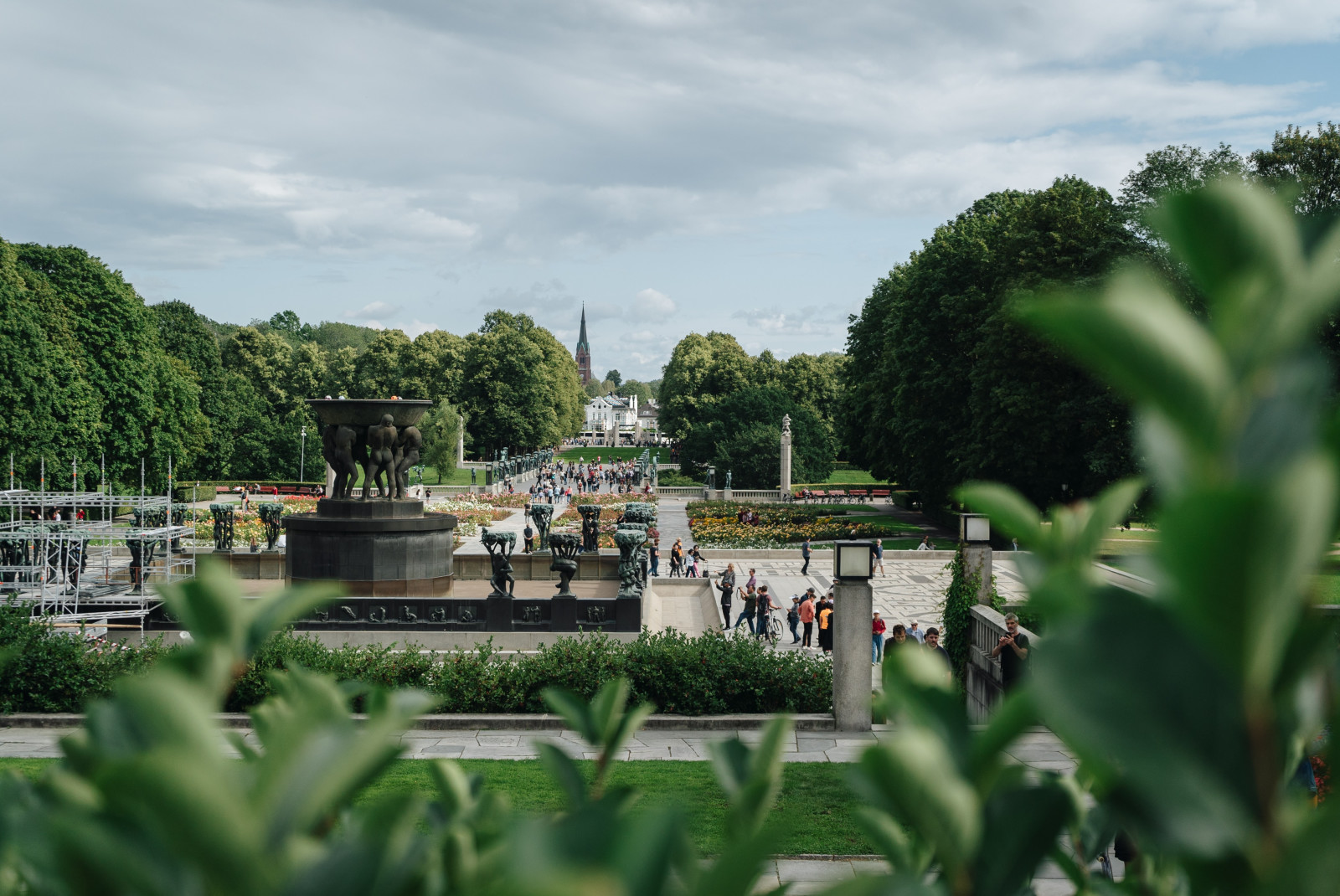 People walking in park surrounded by trees during daytime