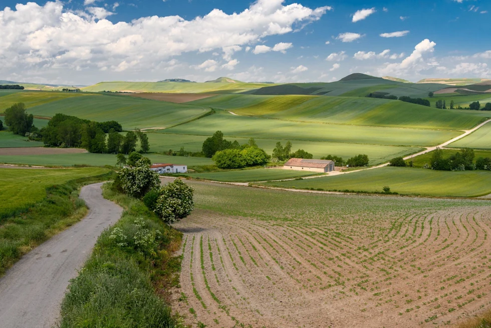 Verdant hillside of Rioja, Spain on a clear day.