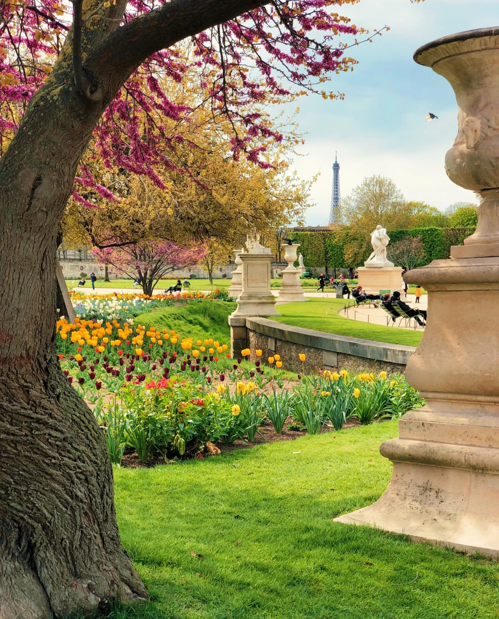 Tuileries Garden filled with spring flowers and the Eiffel Tower at a distance. 