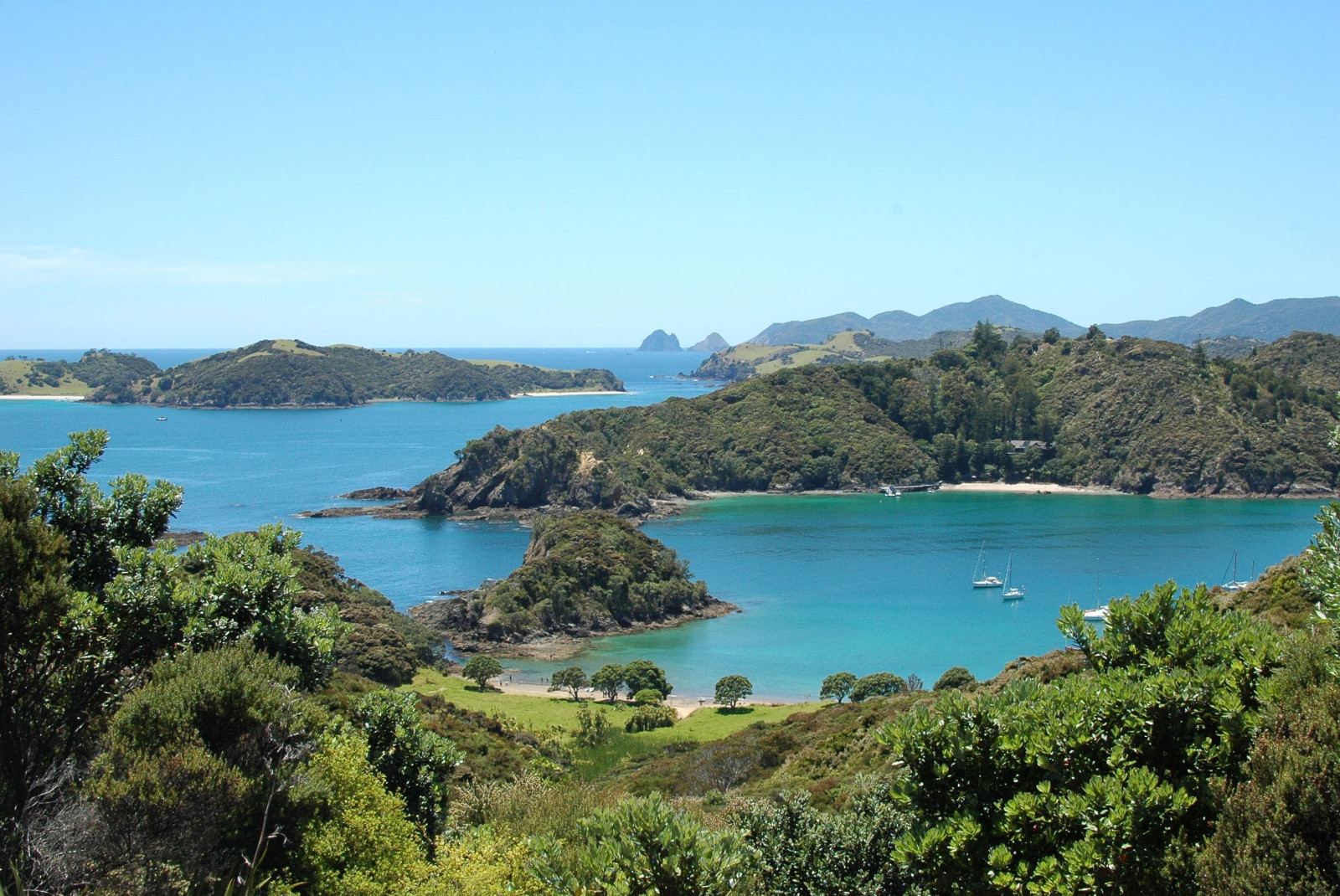 Green tree filled islands with blue waters and white boats floating at Bay of Islands outside of Auckland, New Zealand.