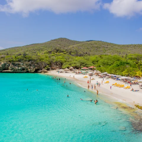 people on the beach next to the ocean during daytime