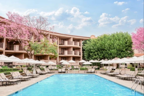 loungers and umbrellas around a pool flanked by pink cherry blossoms