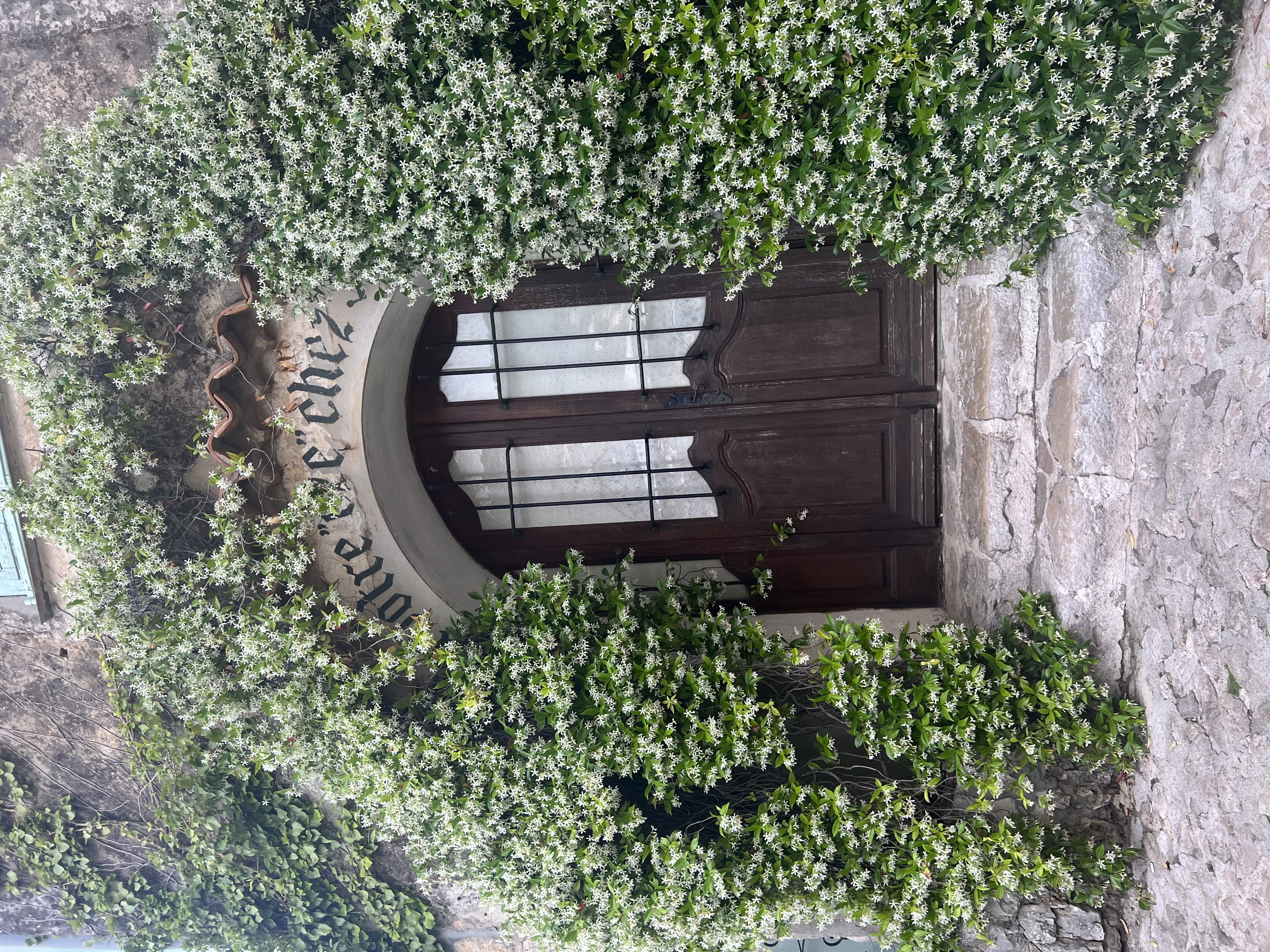 A vintage door surrounded by vines