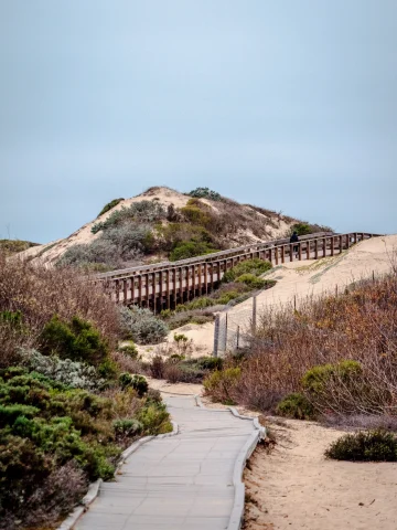boardwalk next to san dunes during daytime