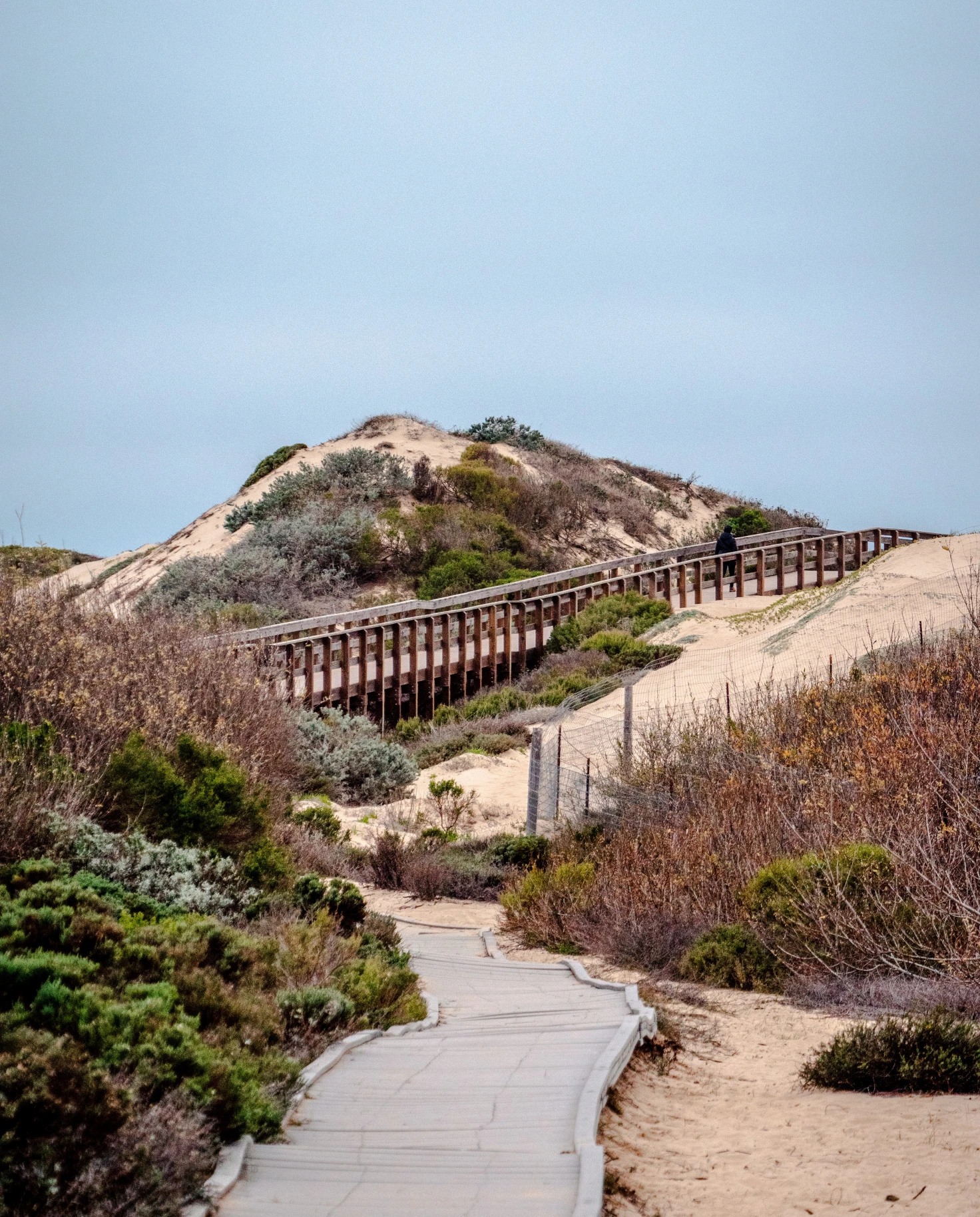 boardwalk next to san dunes during daytime