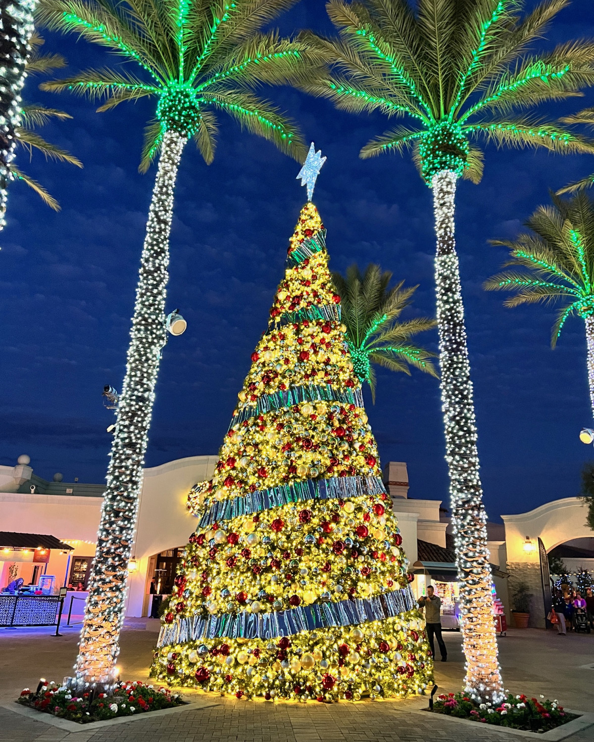 A lit up Christmas tree with palm trees on a beautiful evening 