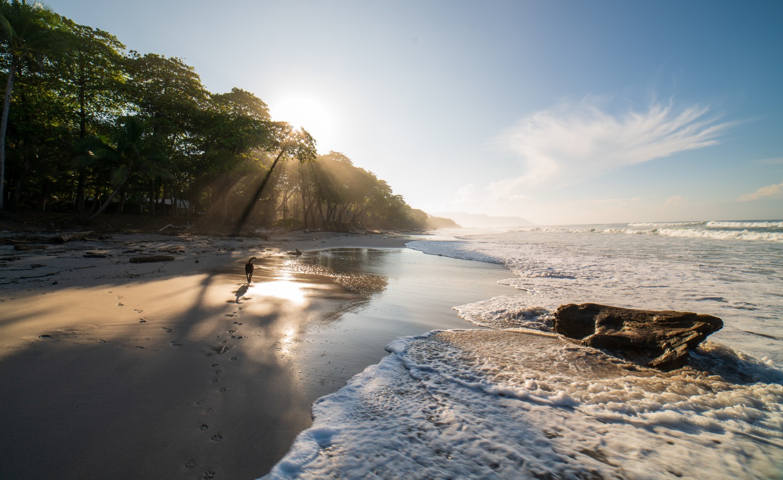 Sunrise on the beach in Santa Teresa, Costa Rica.