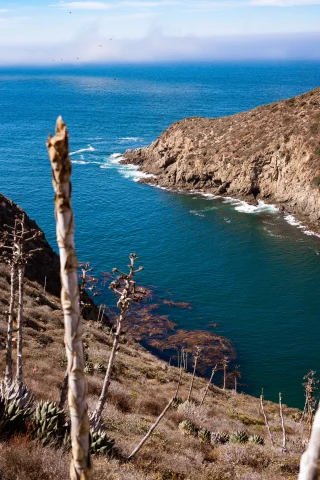 A cliffside view of the Sea of Cortes. 