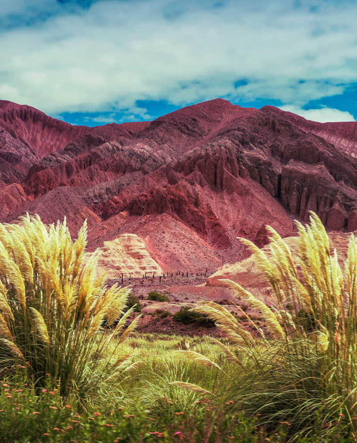 Red rocks with green plants in the foreground during daytime