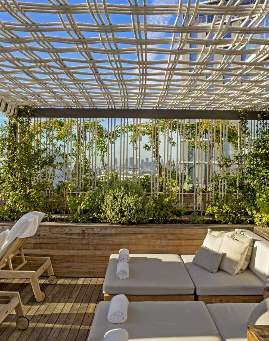 gray loungers under a sunny veranda covered in greenery