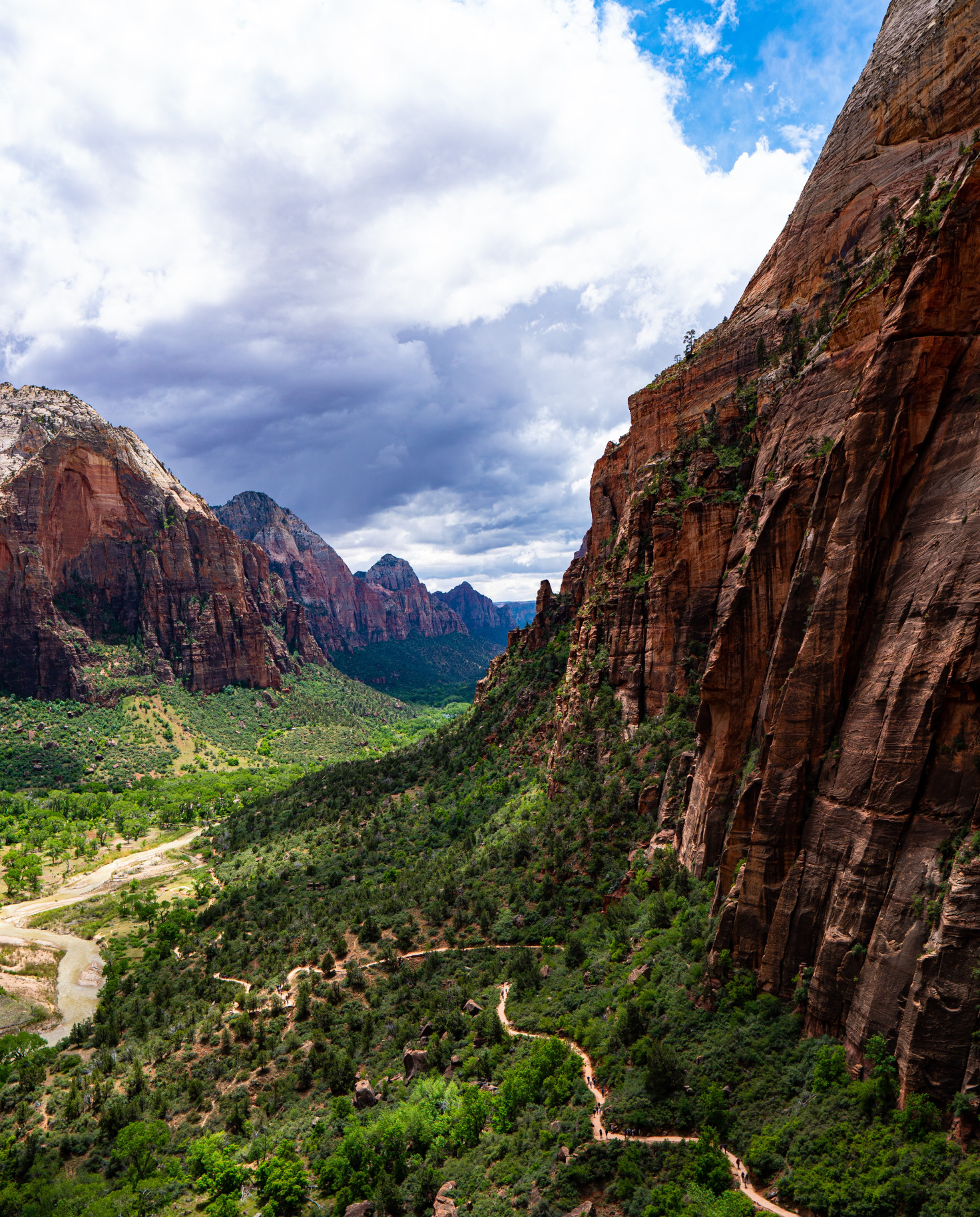  View of a trail and the road in Zion National Park