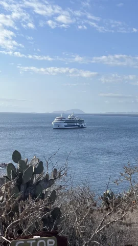 A cruise boat approaching the coast line.