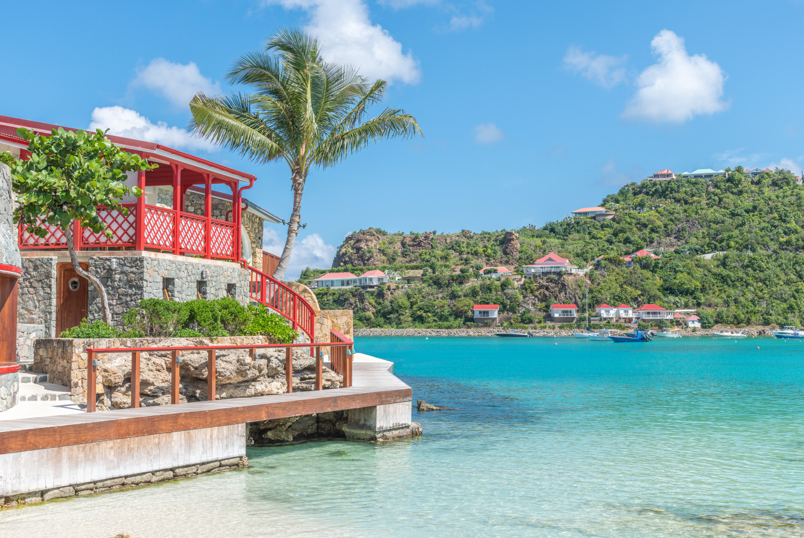 building with palm tree next to body of water during daytime