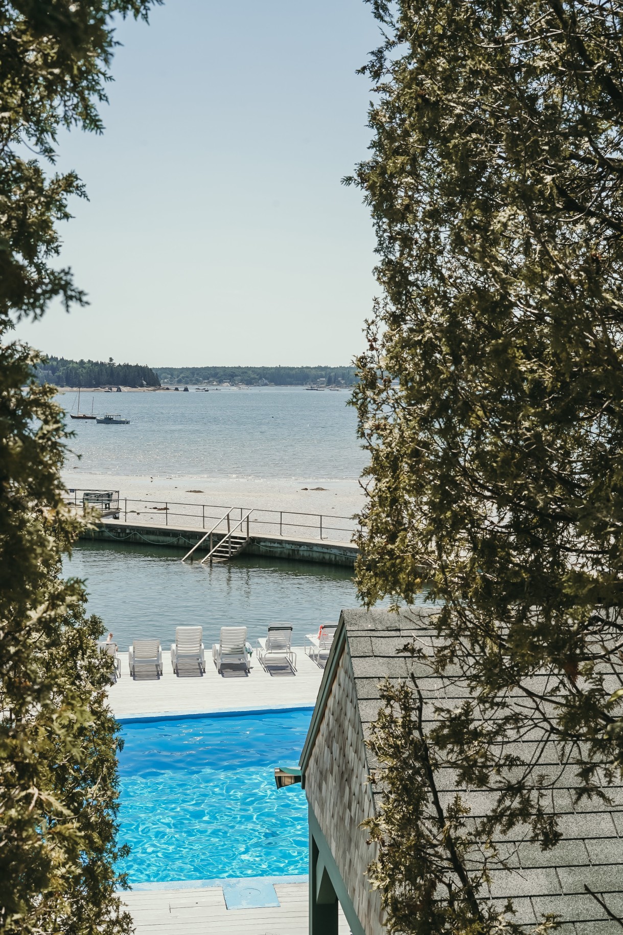 A pool and ocean view in Bar Harbor. 