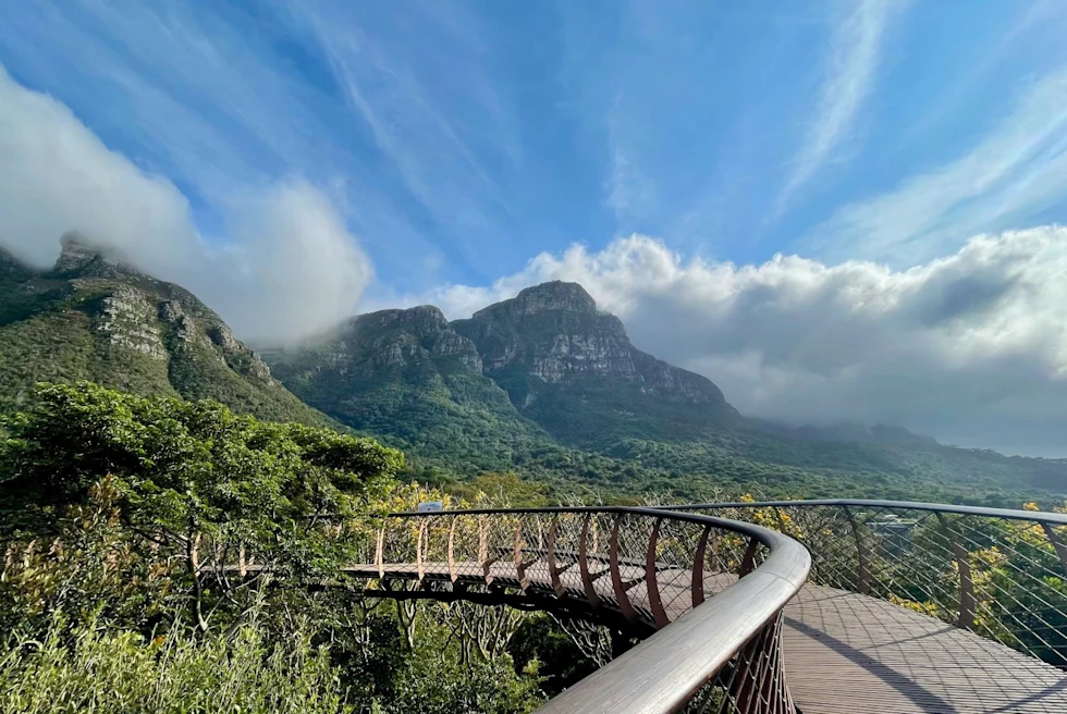 botanical garden with a walking bridge running through foliage on a bright sunny day
