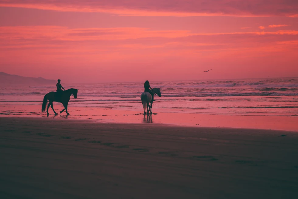 Two people ride horses on the beach in Jamaica with a pink sunset in the background