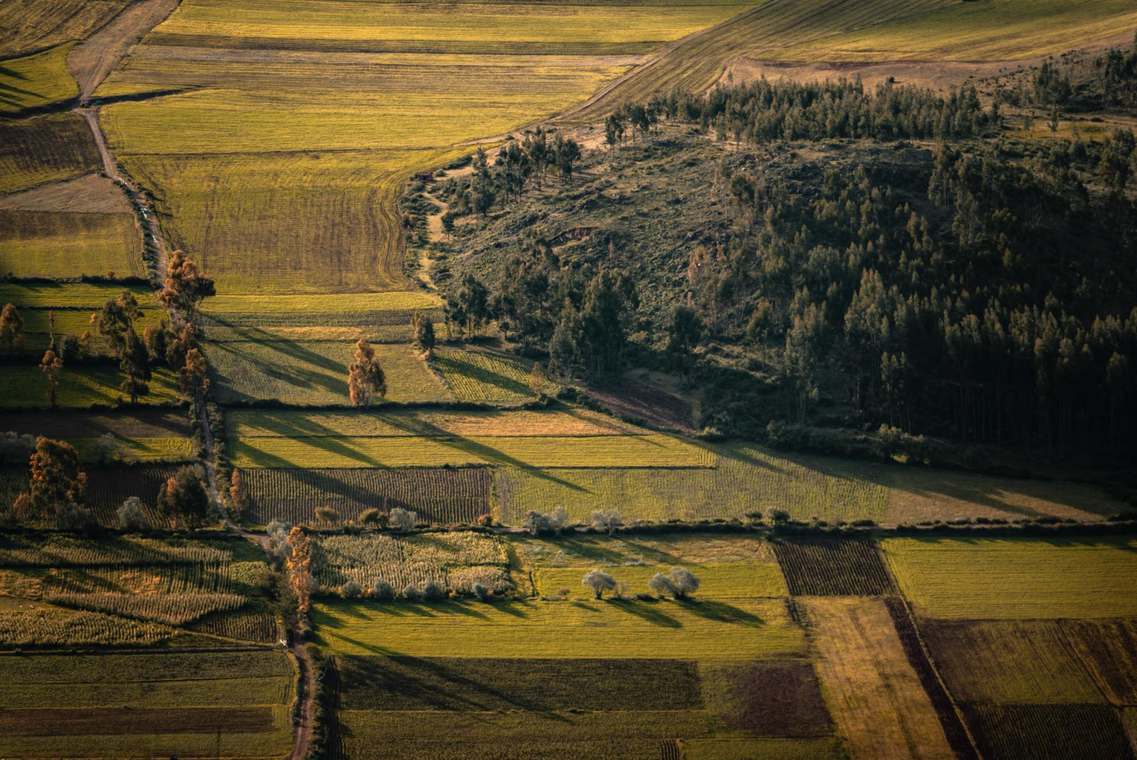 Countryside in Peru during golden hour.