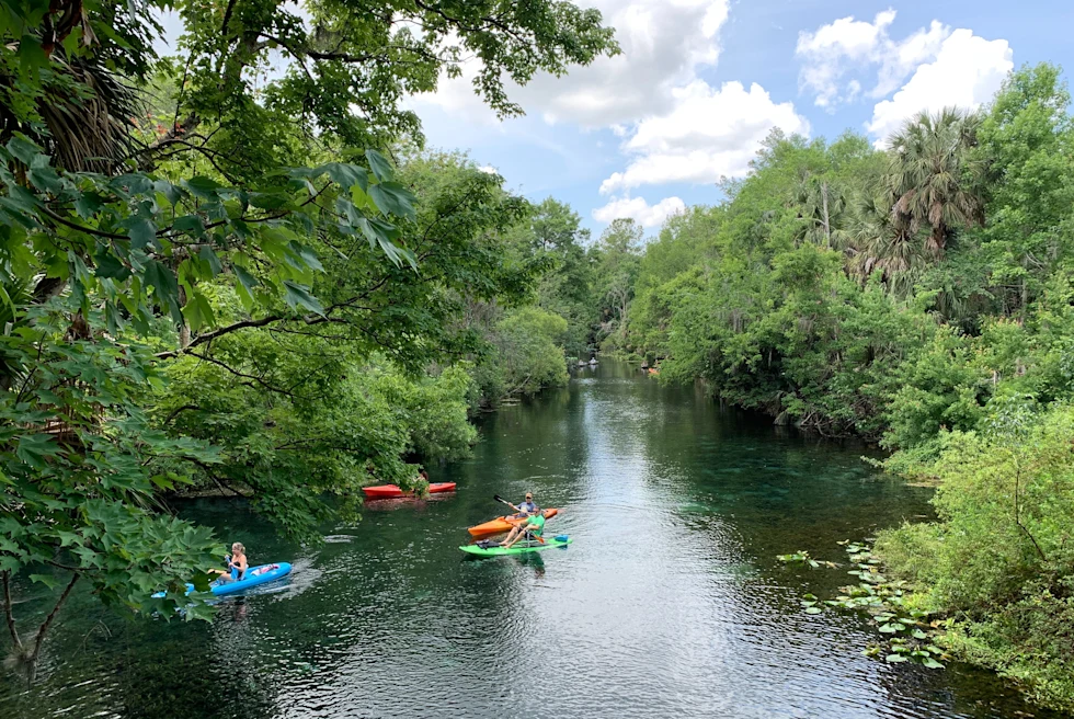 Silver Springs kayaking in Tampa.