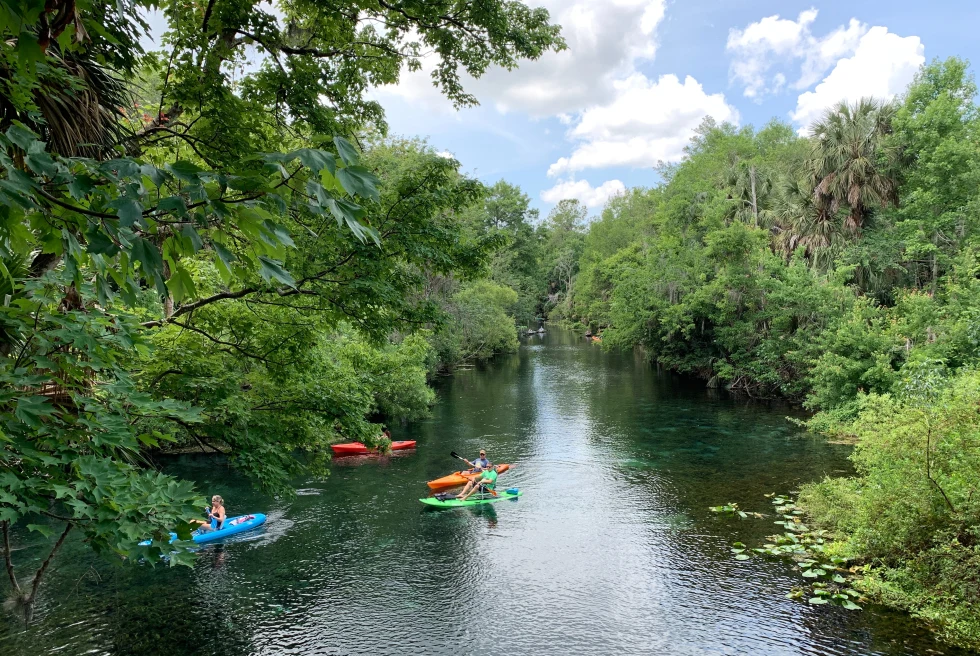 Silver Springs kayaking in Tampa. 
