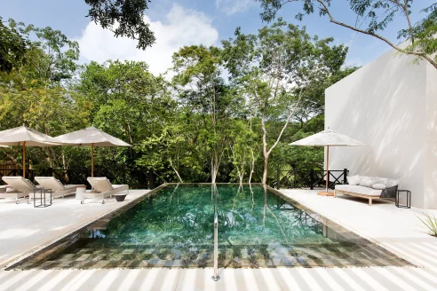 Infinity pool in the lush Mexican jungle