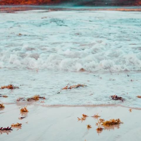 Close up of beach on sandy shore during sunset in Punta Cana.