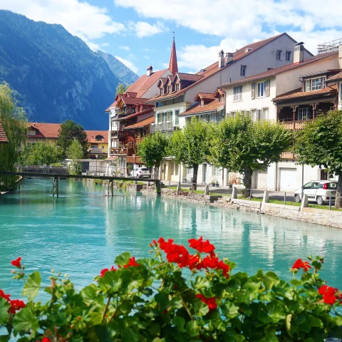 A blue river flanked by houses, mountains and flowers. 