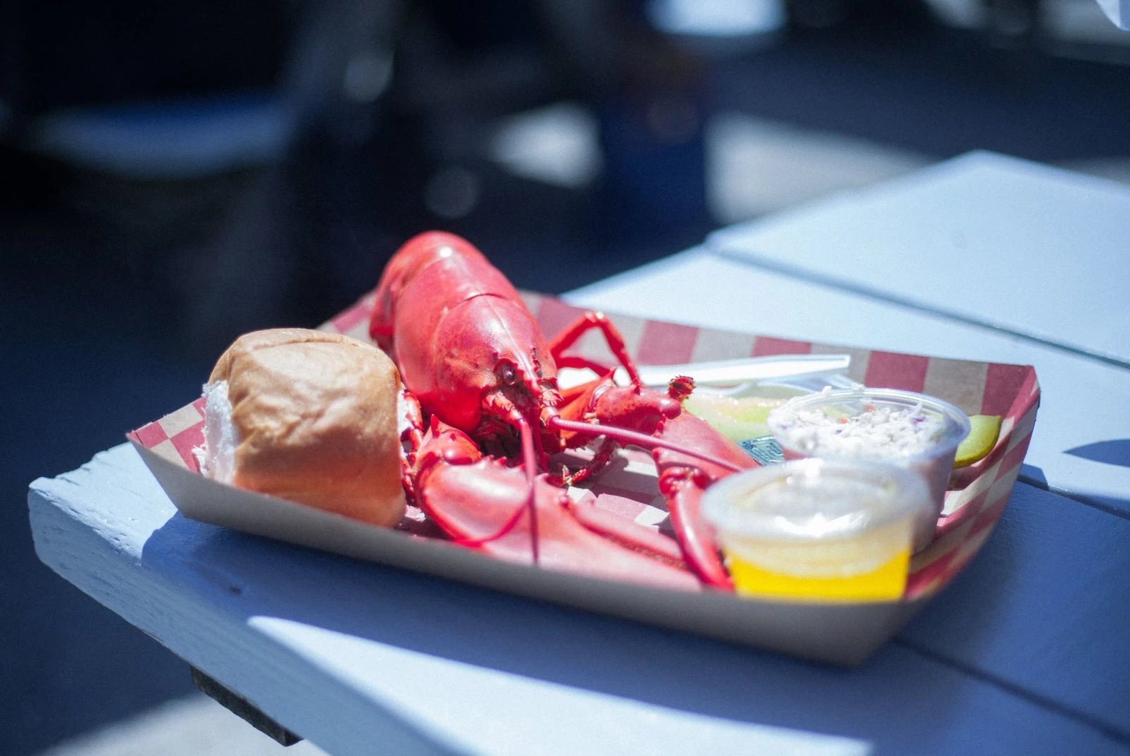 lobster on a red and white checkered plate in the sun