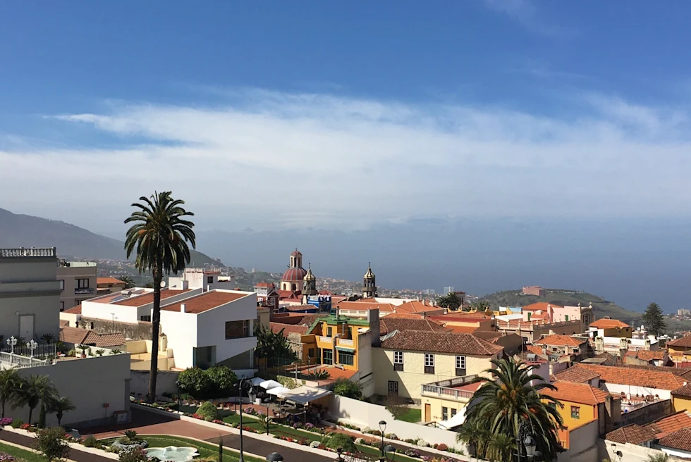 A scenic view of buildings, palm trees and mountains.