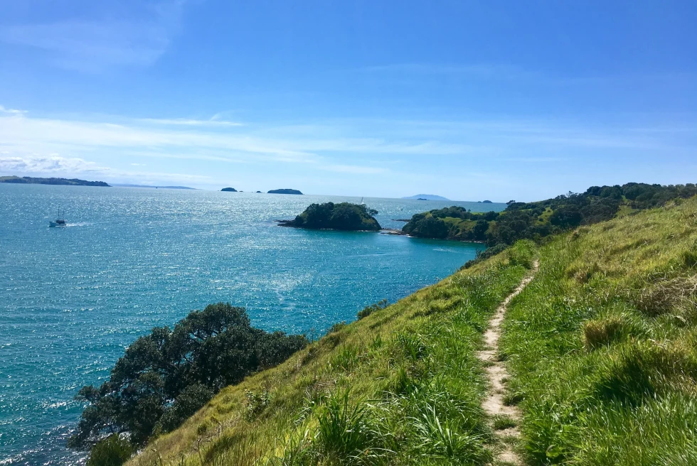 Waiheke Island is a captivating paradise near Auckland, New Zealand, known for its stunning beaches, vineyards, and artistic community.