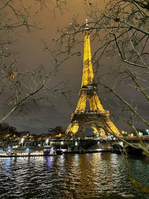 A beautiful image of the water and Eiffel Tower lit up at night.