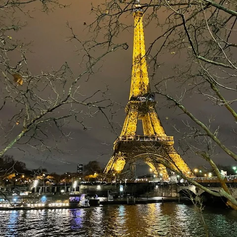 A beautiful image of the water and Eiffel Tower lit up at night.