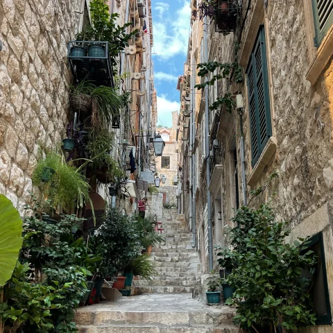 Narrow alleyway and stairway in Dubrovnik with plant pots and street lamps.