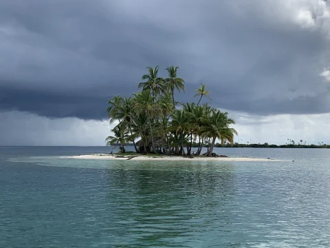 palm tree-studded islet in a clear sea under a dark sky
