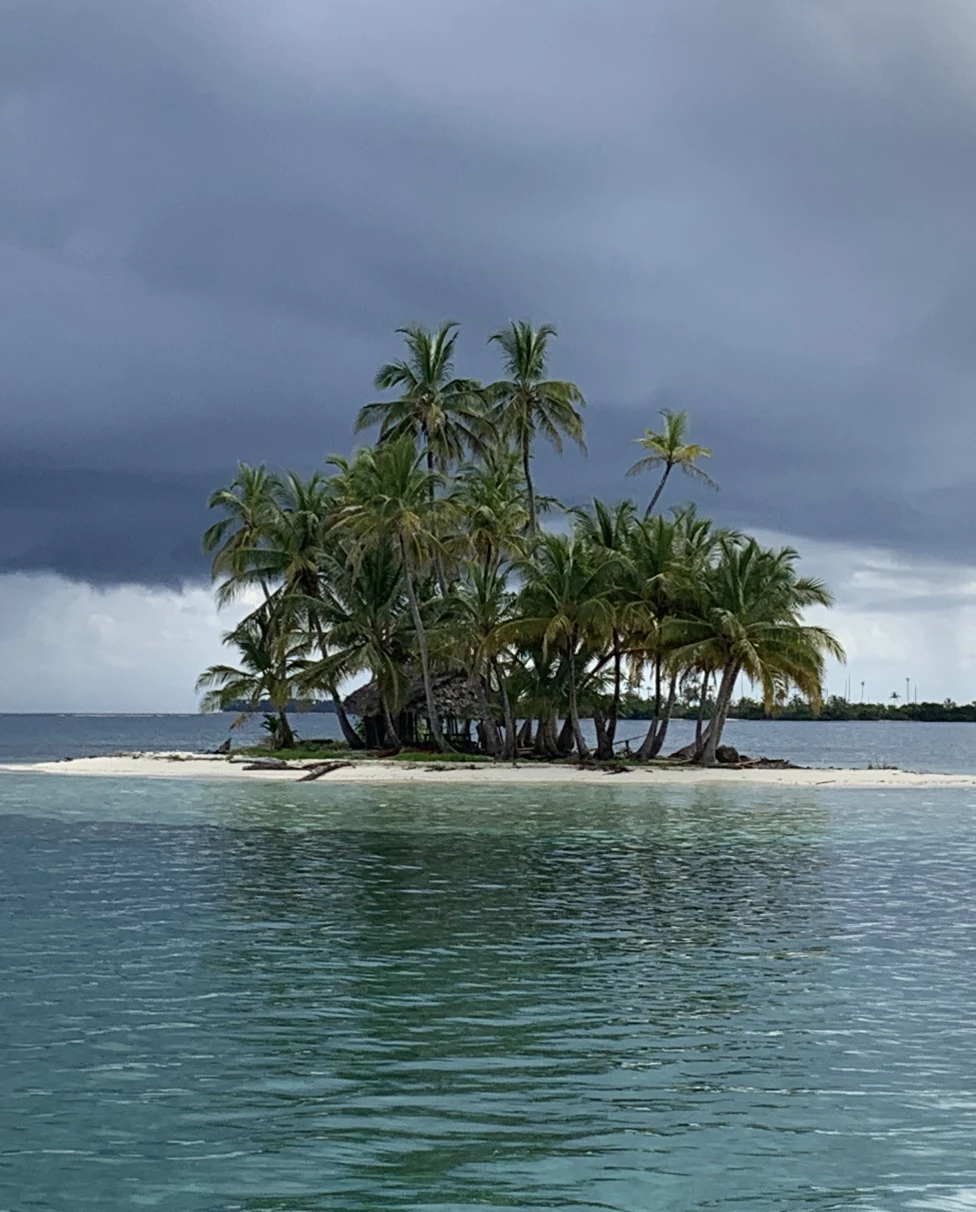 palm tree-studded islet in a clear sea under a dark sky