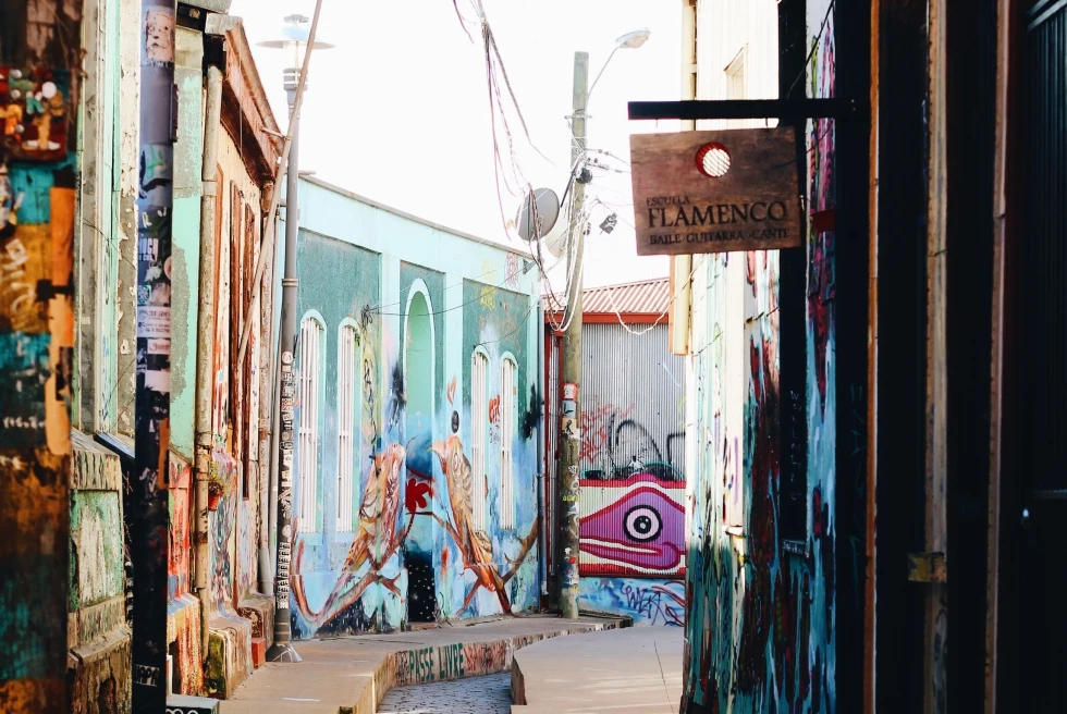 narrow street with murals 