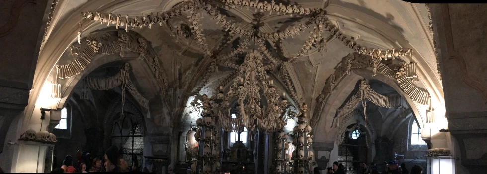 skeletons hanging from ceiling from large room