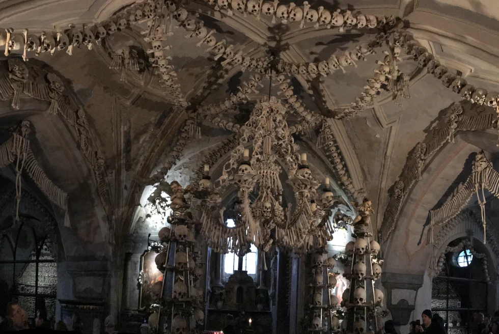 skeletons hanging from ceiling from large room