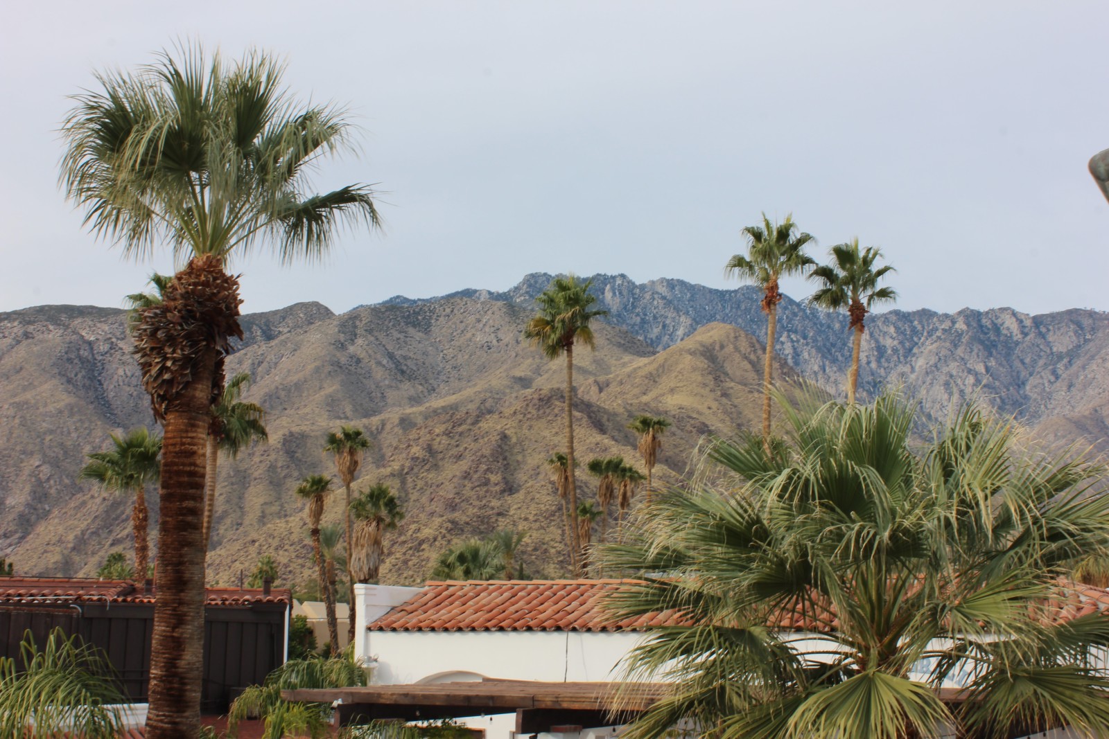 Palm trees with a white house and mountains in the background during daytime
