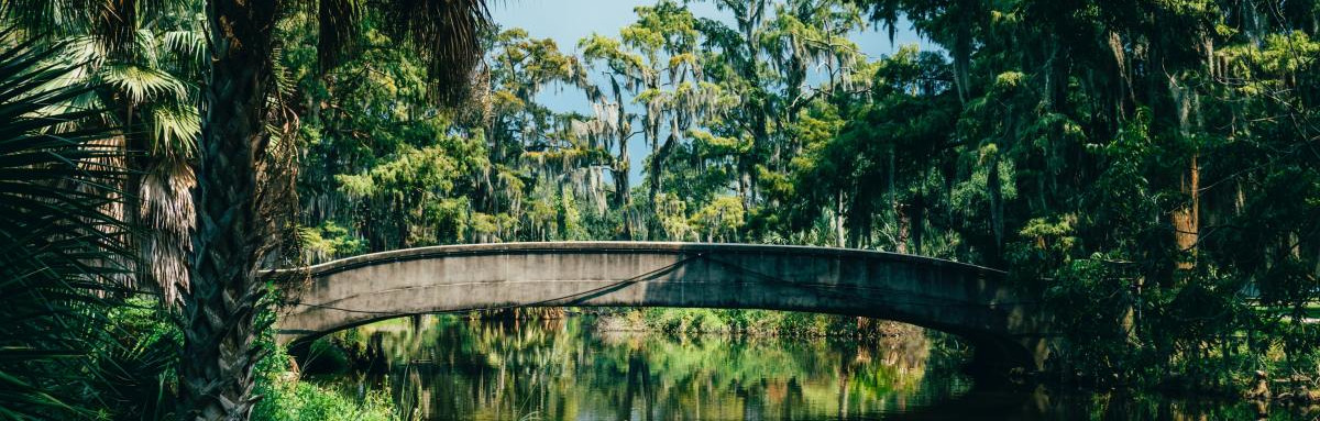 Lake surrounded by greenery in Louisiana and with bridge that goes across the river.