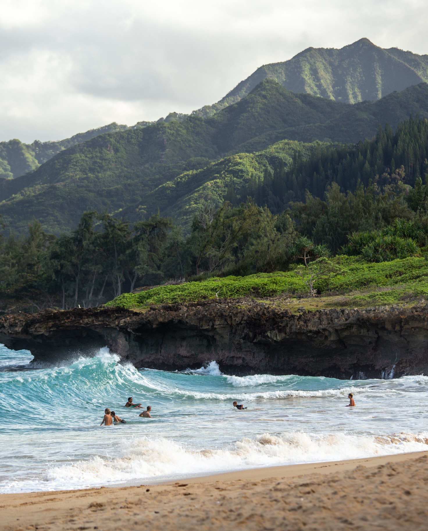 Advisor - The Beginner’s Guide to Exploring Oahu