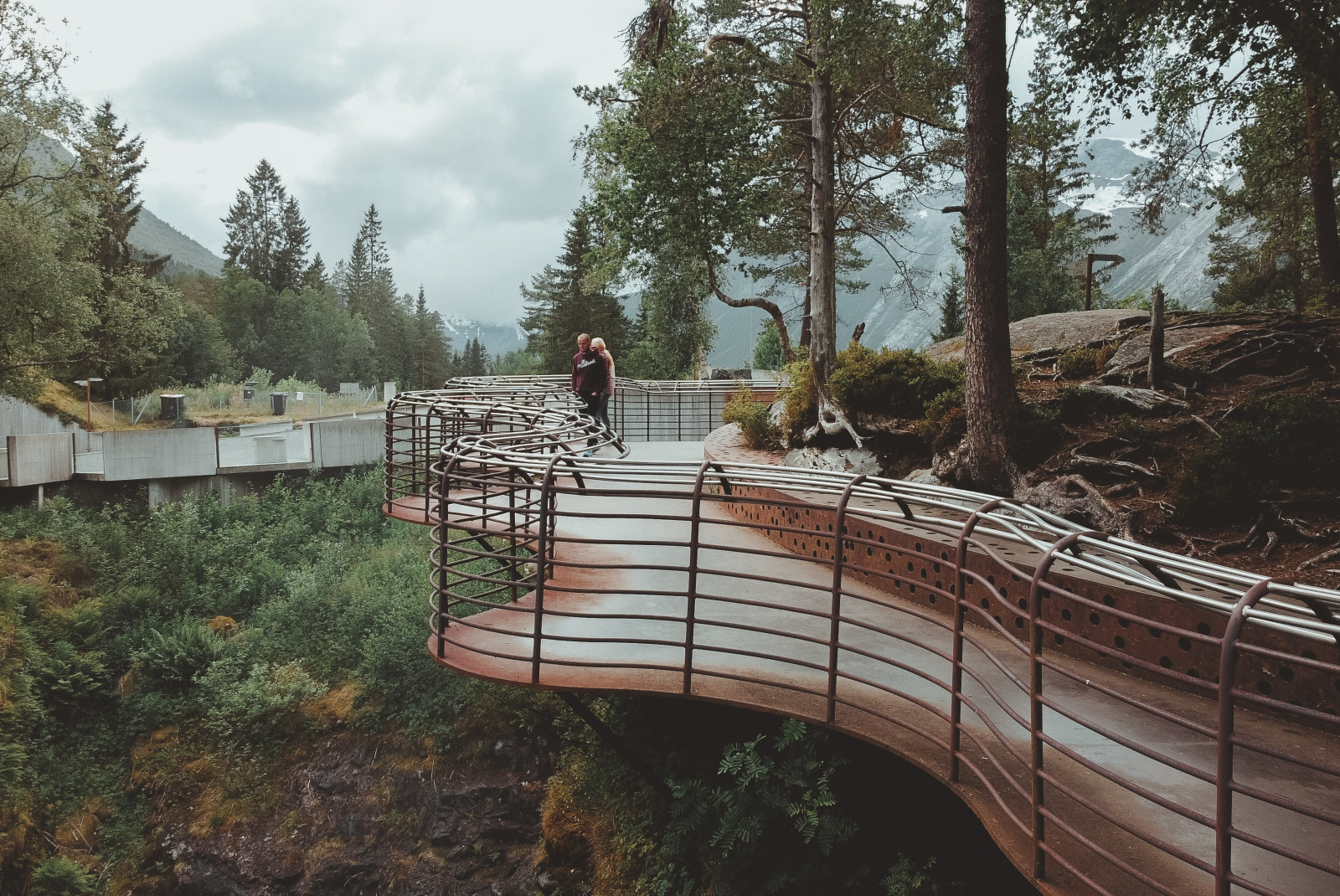 Two people walking on bridge surrounded by trees during daytime