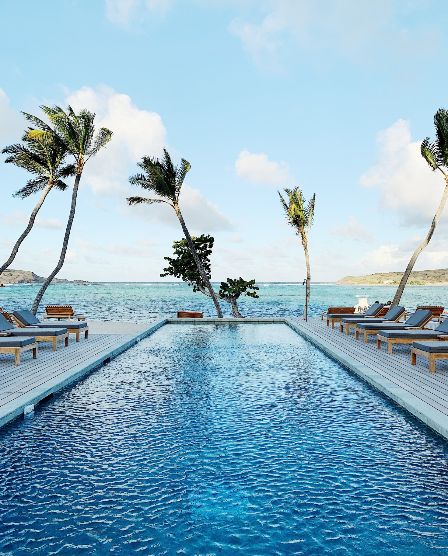 Pool and lounge chairs with palm trees overlooking the ocean