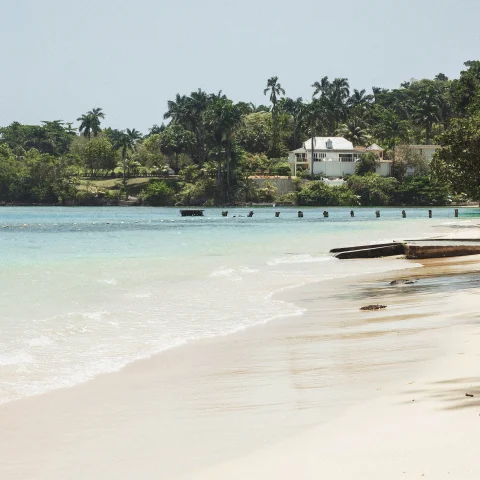 Jamaica island with tan sand and blue water green tall palm trees and a dock with a white house