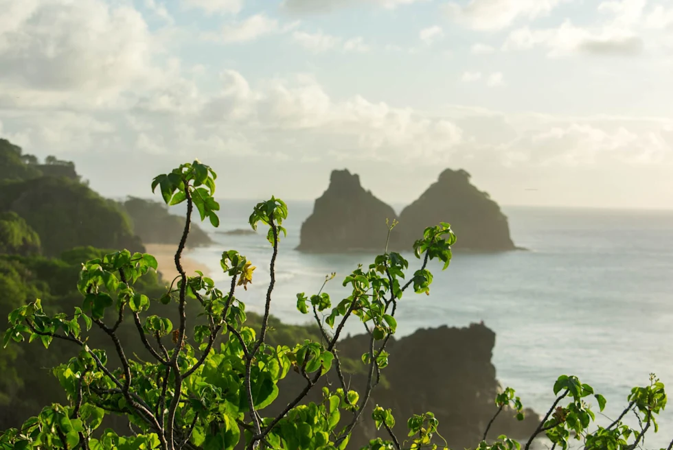 view off coast os a tropical island through the trees at dusk