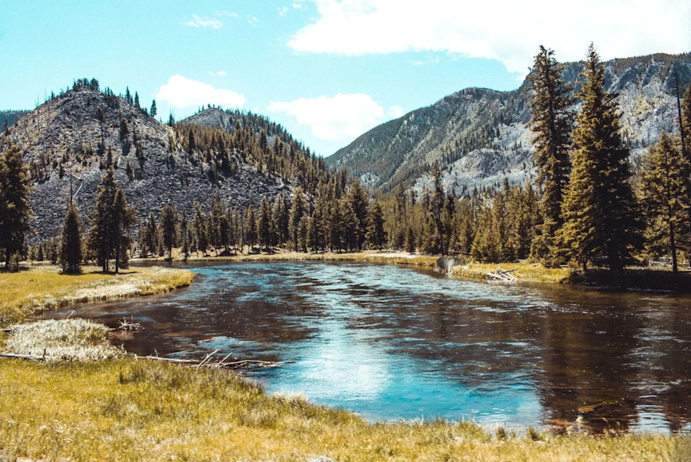 a pond reflects blue sky and trees in a clearing of a mountain range